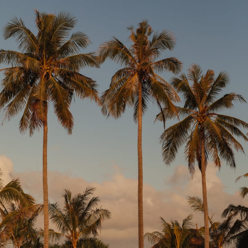 View of the bar / restaurant  