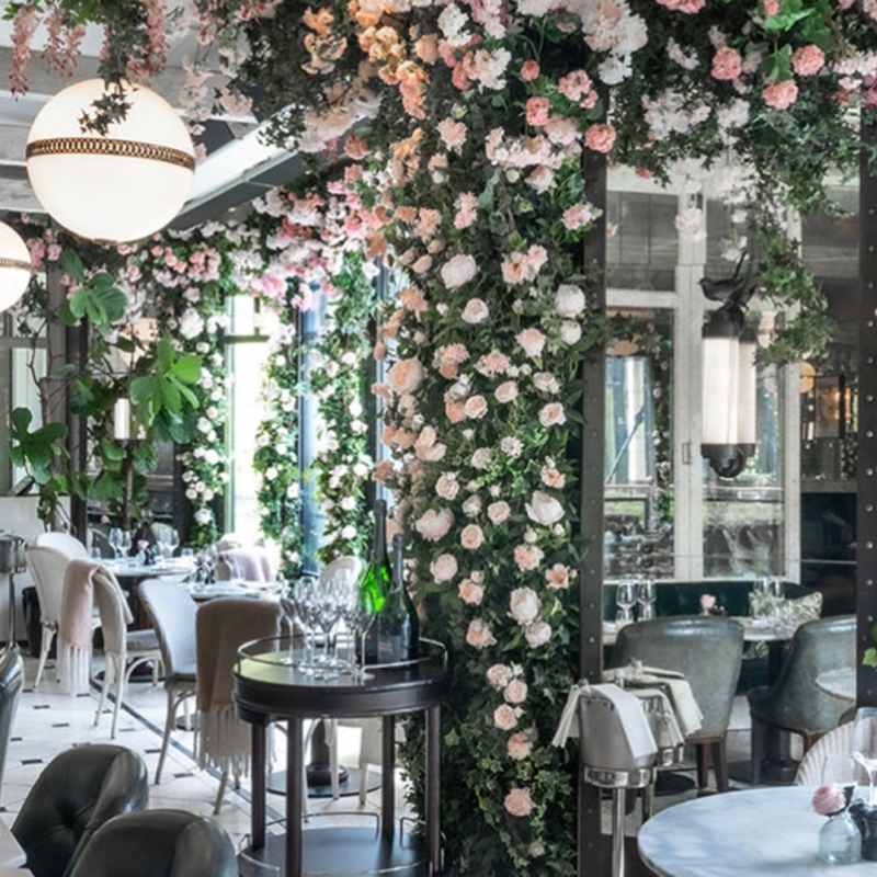 Terrace at WILDE 