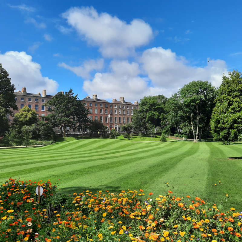 The Merrion 
