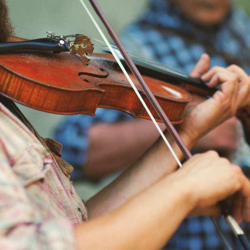 Violin 