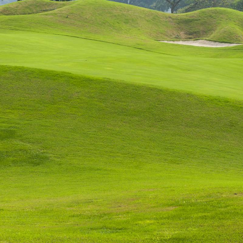 Golf Ground 