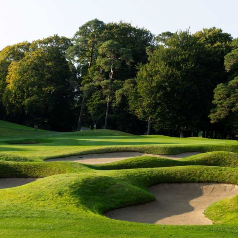 Golf Course 