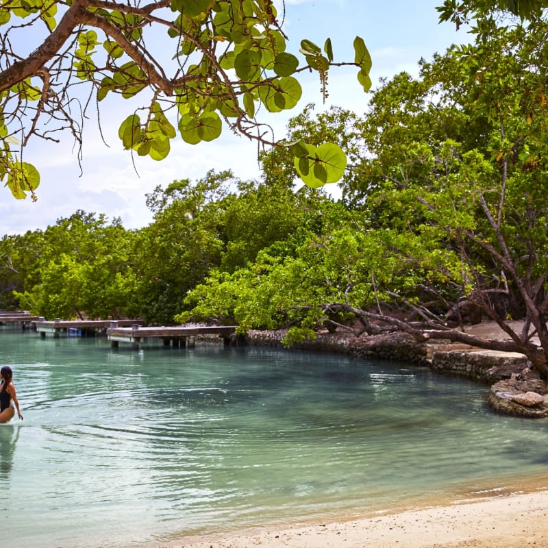 Goldeneye Jamaica