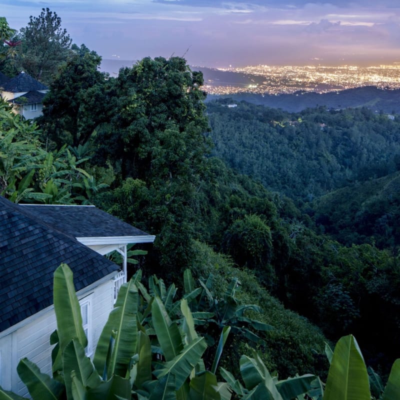 Evening View - Strawberry Hill