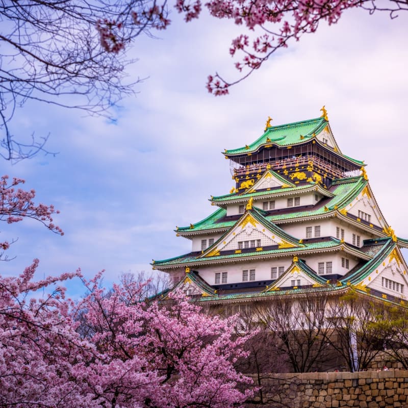 Osaka Castle in the Cherry Blossom Season