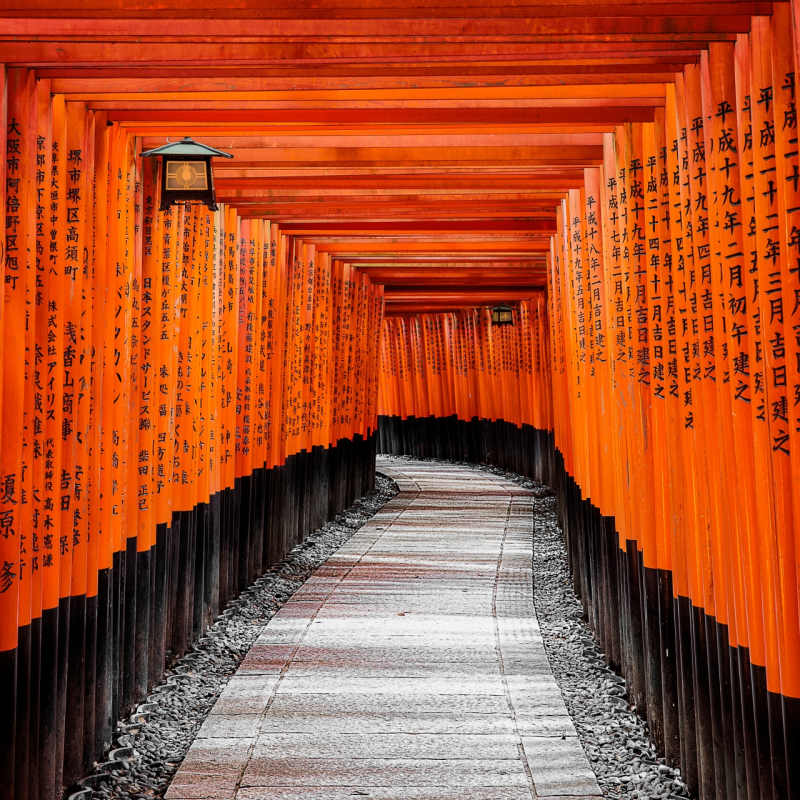 Fushimi Inari  