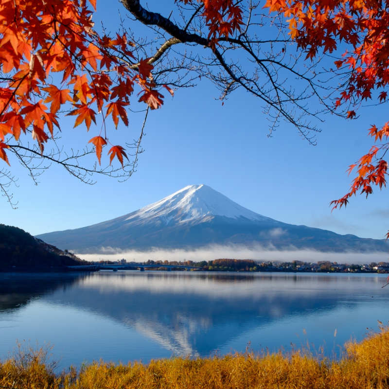 Mount Fuji 
