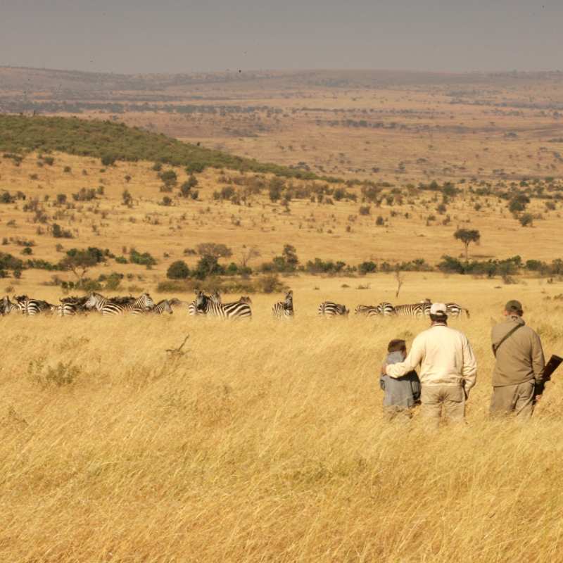 Bush walk - Cottar's 1920 Safari Camp