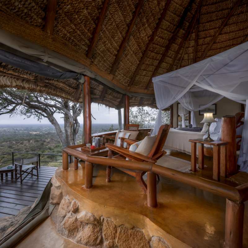 Safari Suite 