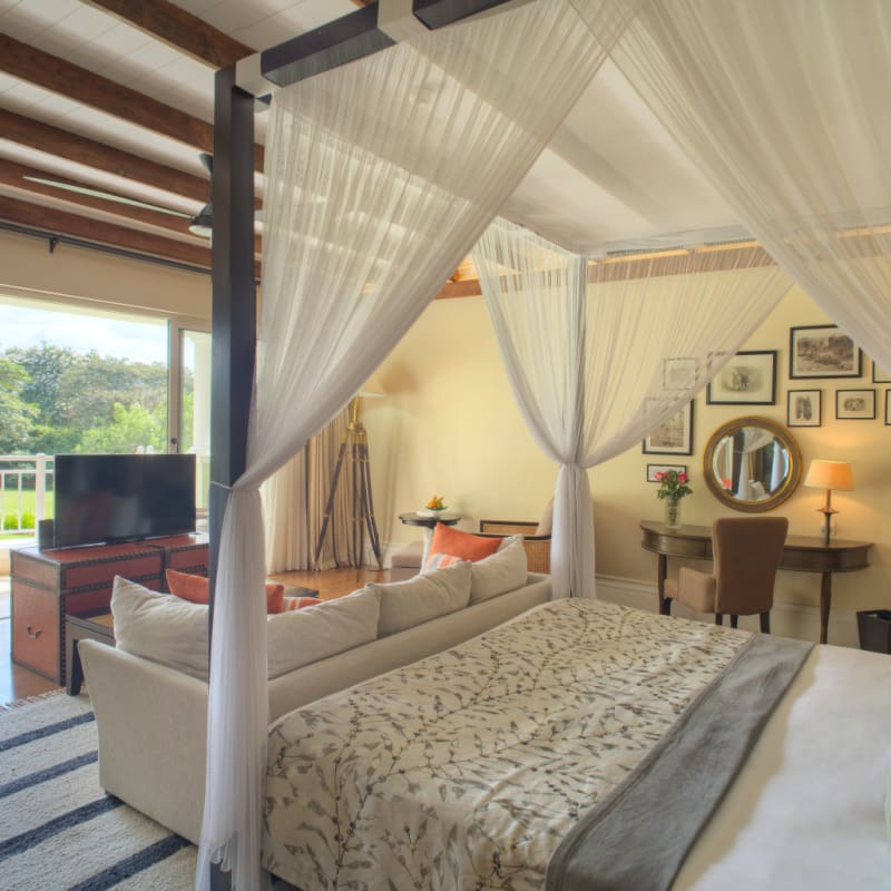 deluxe suite