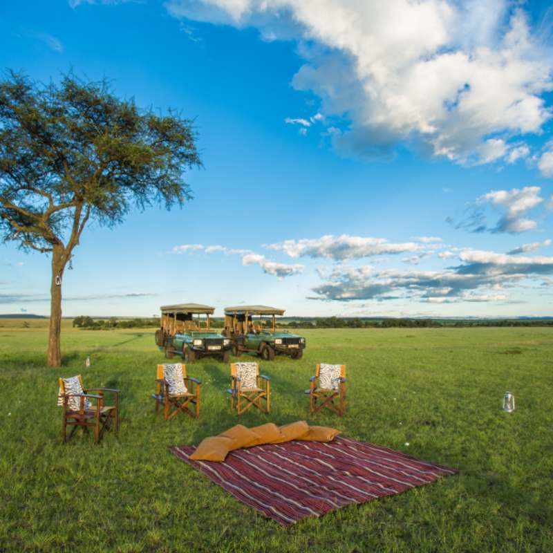 Picnic spot