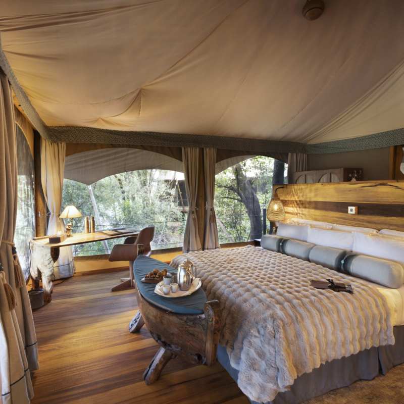 Treetop suite  