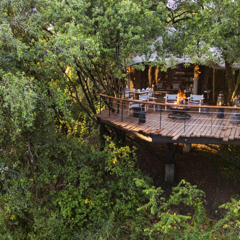 Main area in Forest canopy 