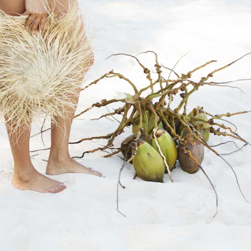 Coconuts on the beach  