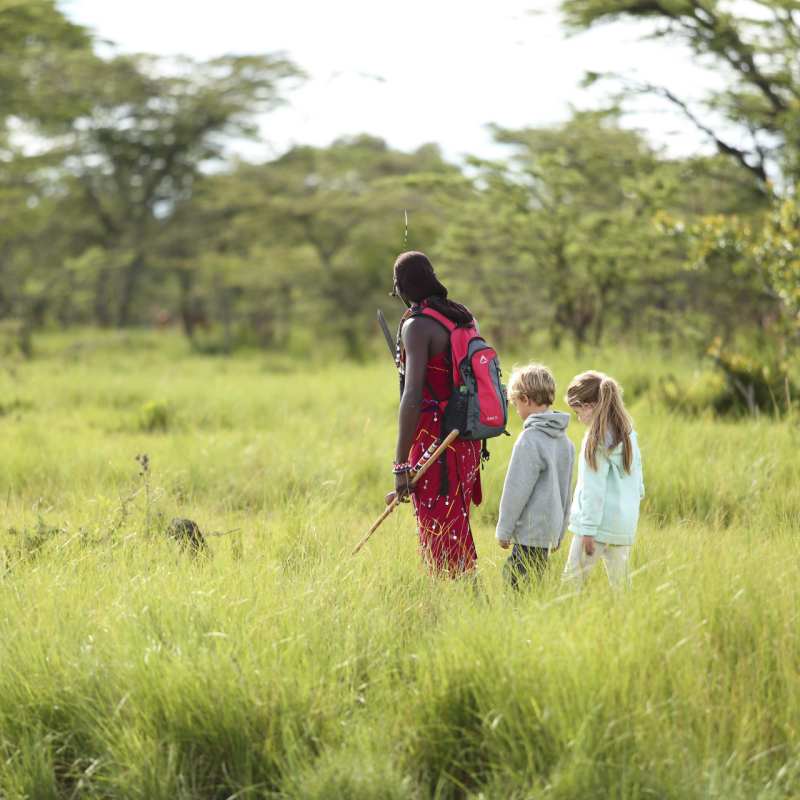 Kids bush walk