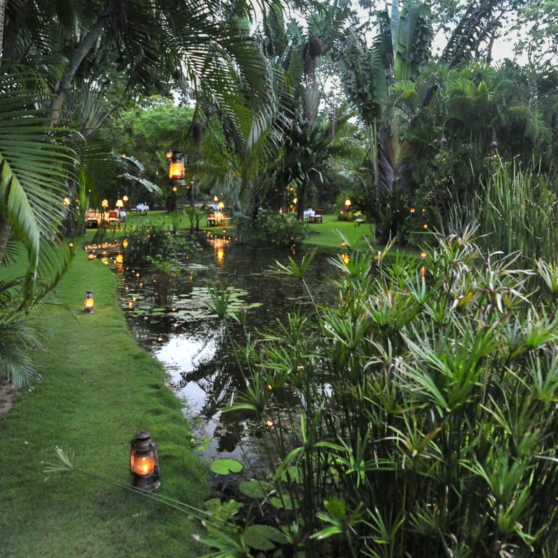 Oasis