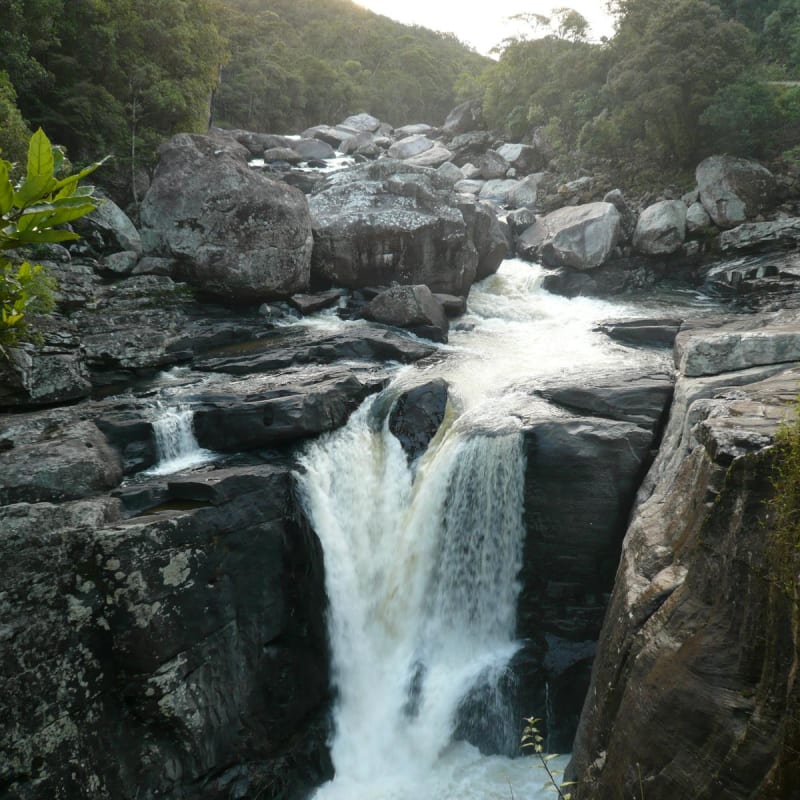 Parc National de Ranomafana - Setam Lodge