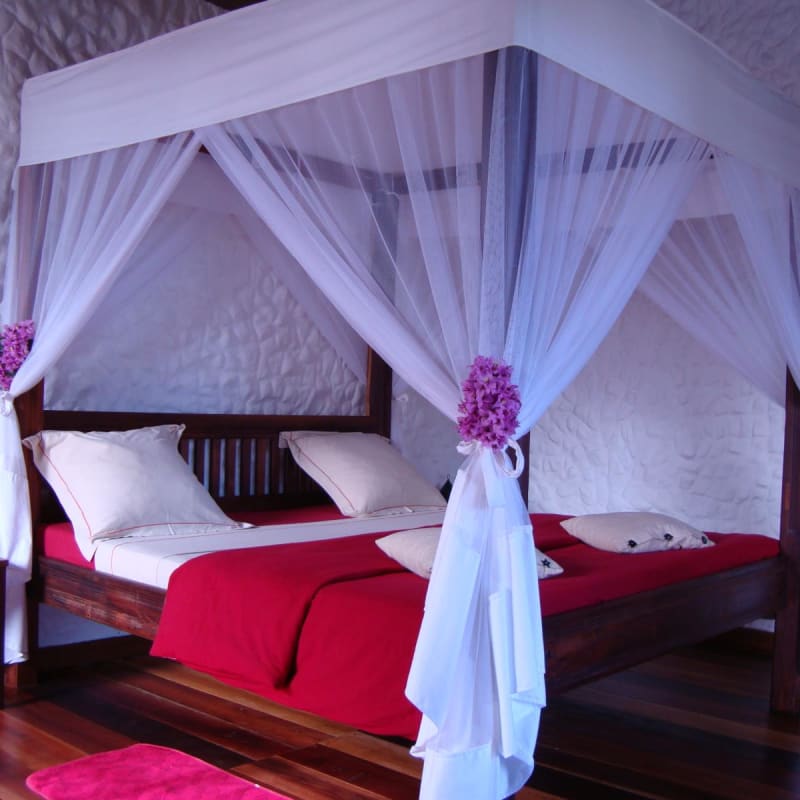 Guestroom - The Litchi Tree