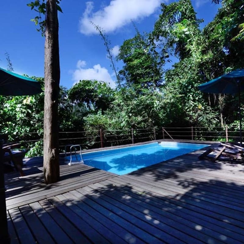 Plunge Pool - Sukau Rainforest Lodge