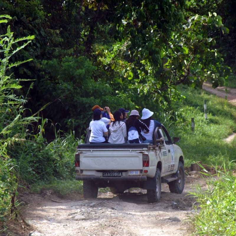 Game Drive - Tabin Wildlife Resort