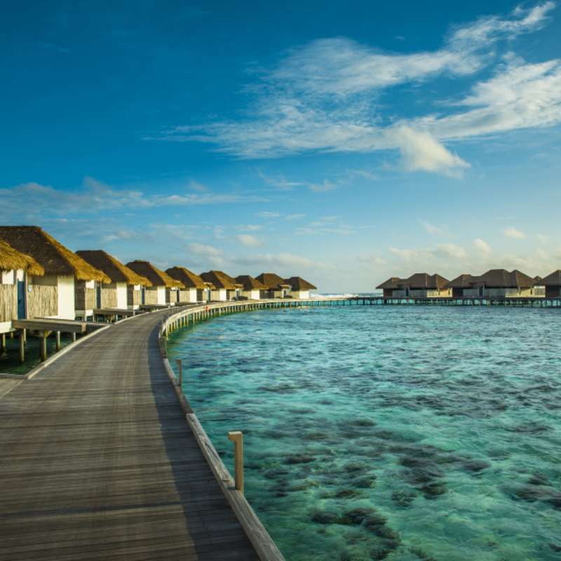 Boardwalk 