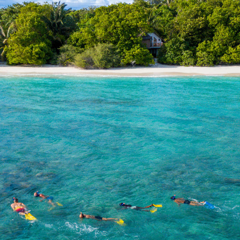 Soneva Fushi- Snorkelling