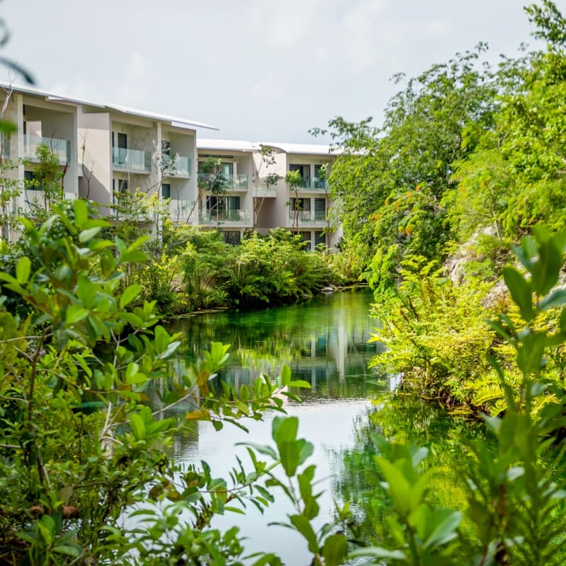 Lagoon View Rooms and Suites - Andaz Mayakoba Resort Riviera Maya