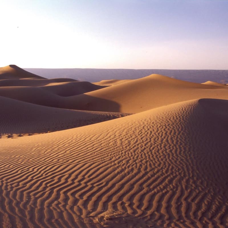 Sand Dunes - Dar Ahlam Nomad Camp