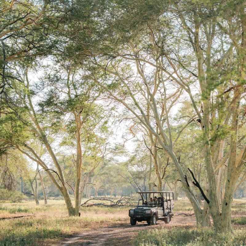 Game drive 