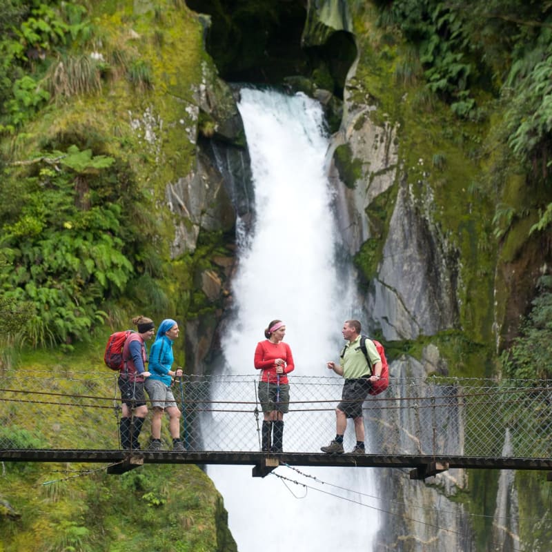Bridge   - Fiordland Lodge