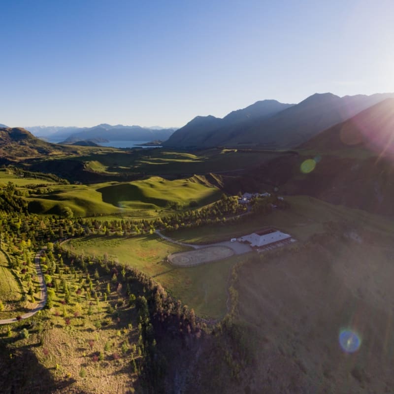 Sunrise - Mahu Whenua Ridgeline Homestead & Eco Sanctuary