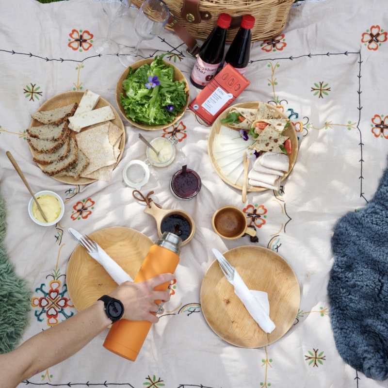 Picnic  