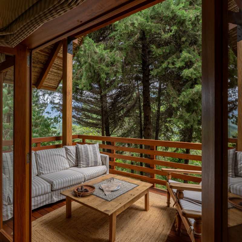  Cabin Bromelia 