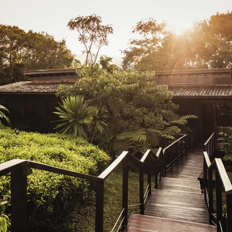Room Exterior - Nyungwe House
