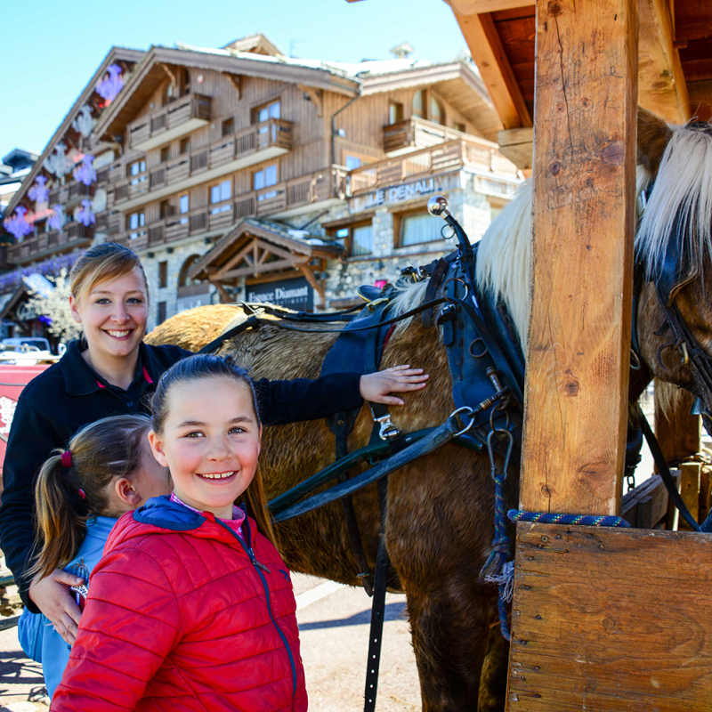 Nanny horses