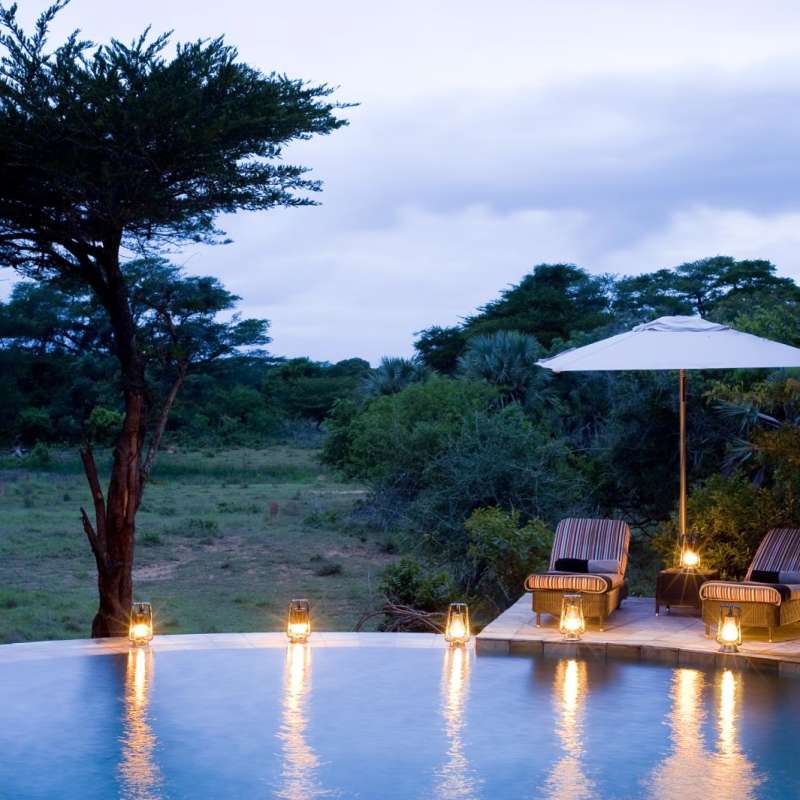 Pool - Phinda Forest Lodge