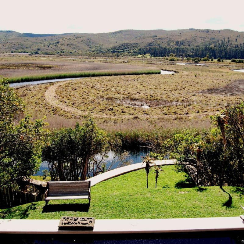 View from the lodge - Emily Moon
