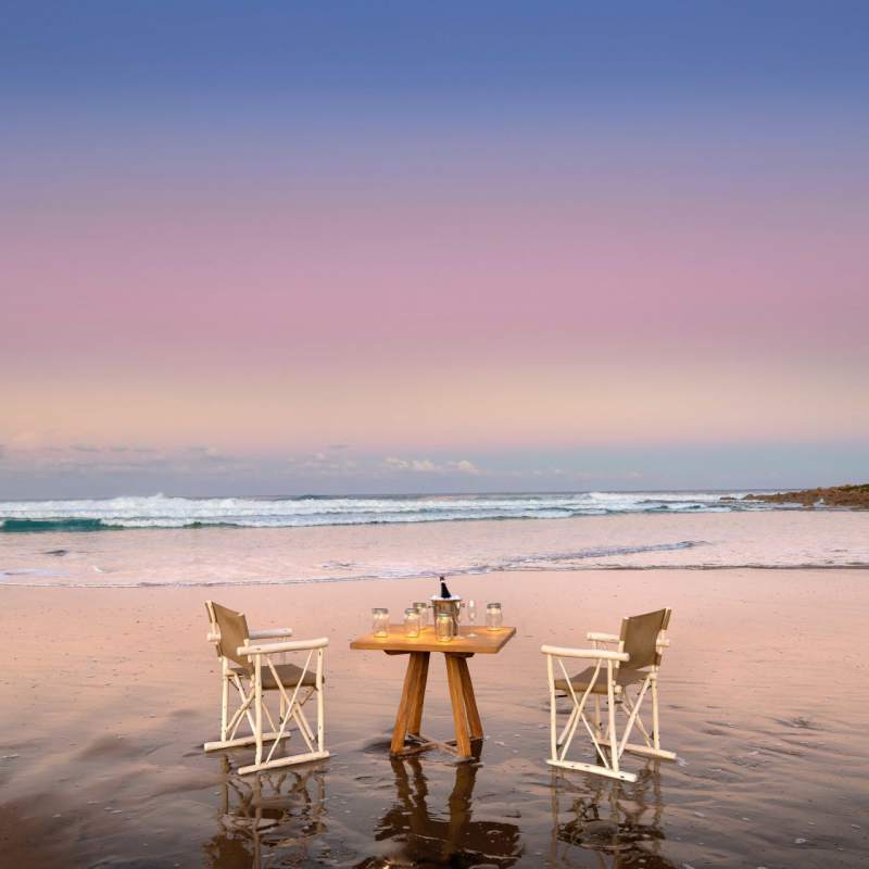 Beach picnic