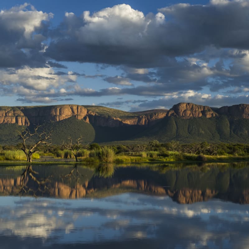 Fish Eagle Dam Marataba Reserve 