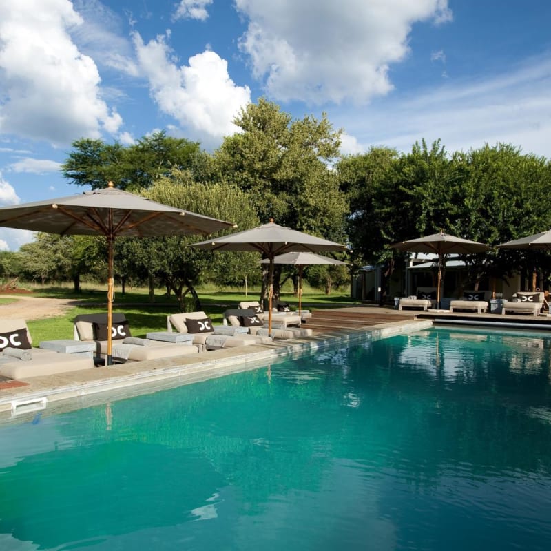 Swimming pool - Morukuru Farm House