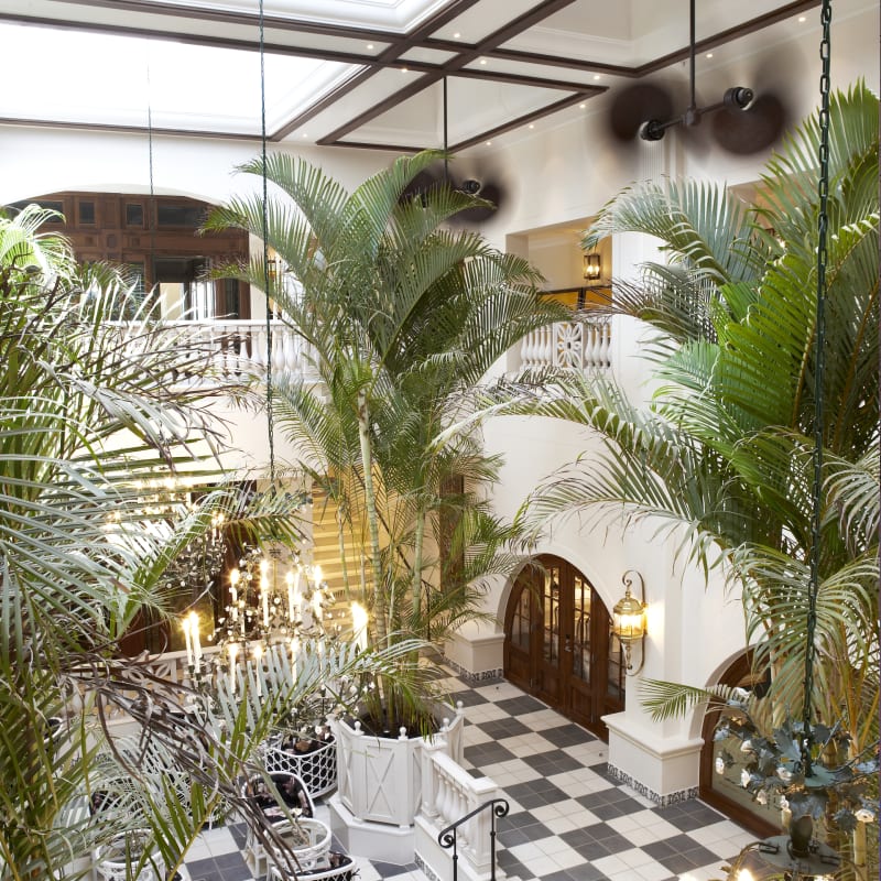 Palm court