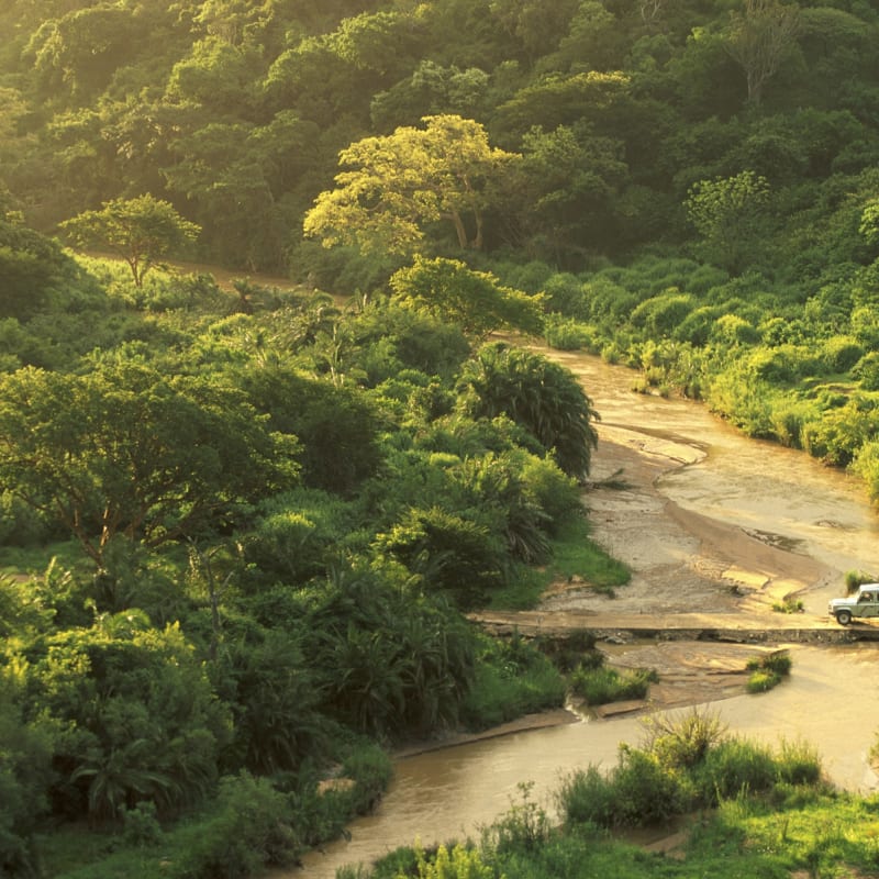 Hluhuluwe-iMfolozi - Rhino Ridge Safari Lodge