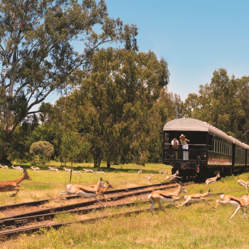 Game on tracks