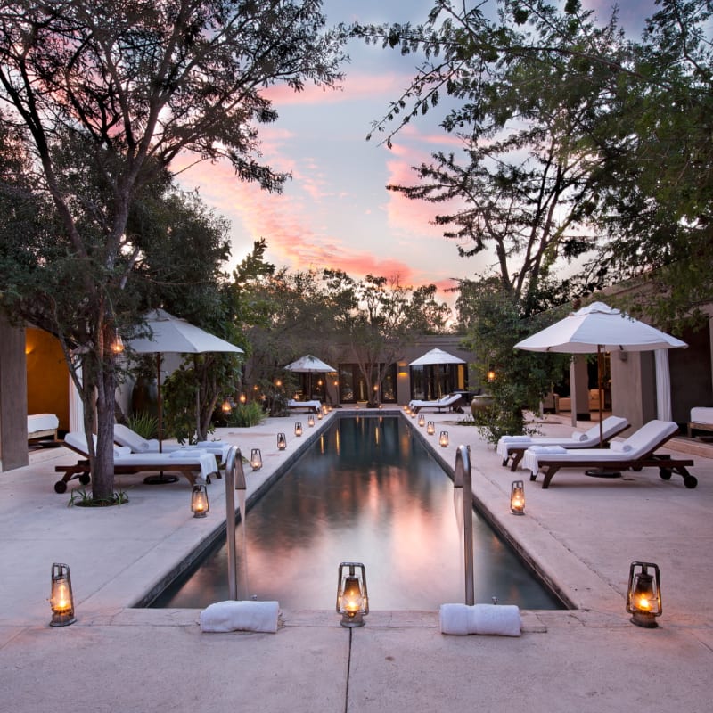 Swimming pool - Royal Malewane