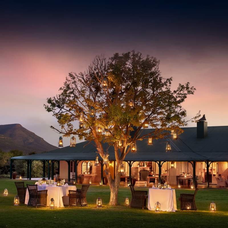 Lawn dinner 
