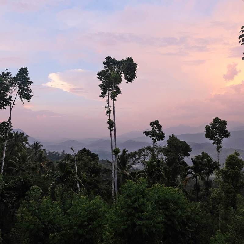 Sunset Views - Aarunya Nature Resort