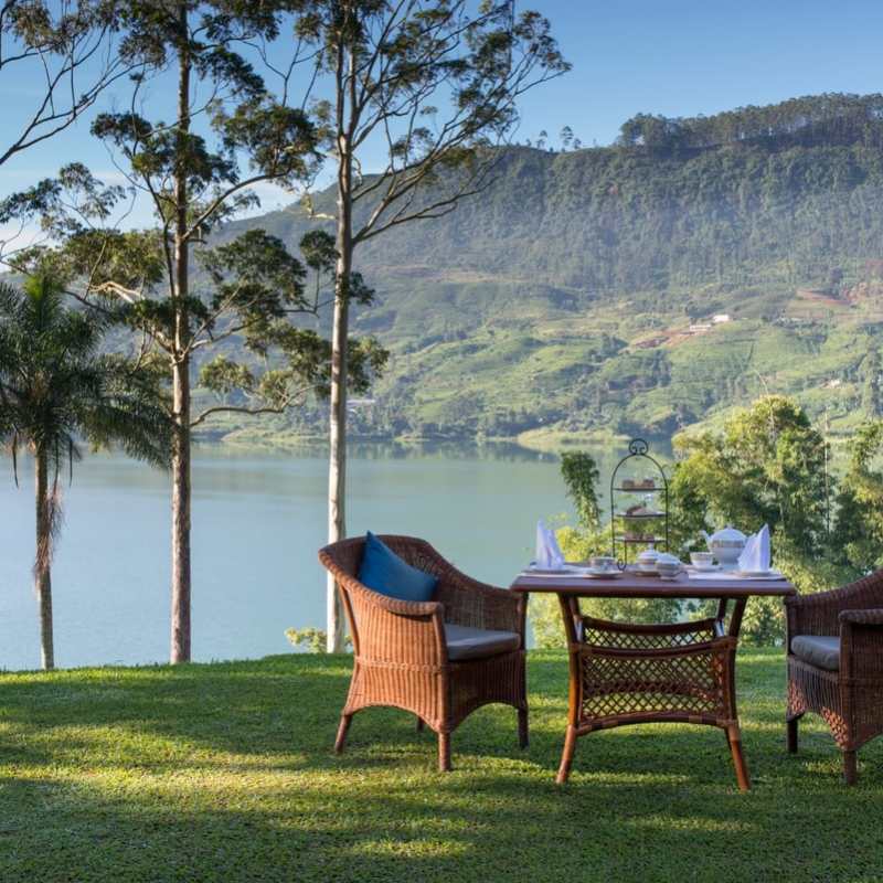 Afternoon Tea - Ceylon Tea Trails