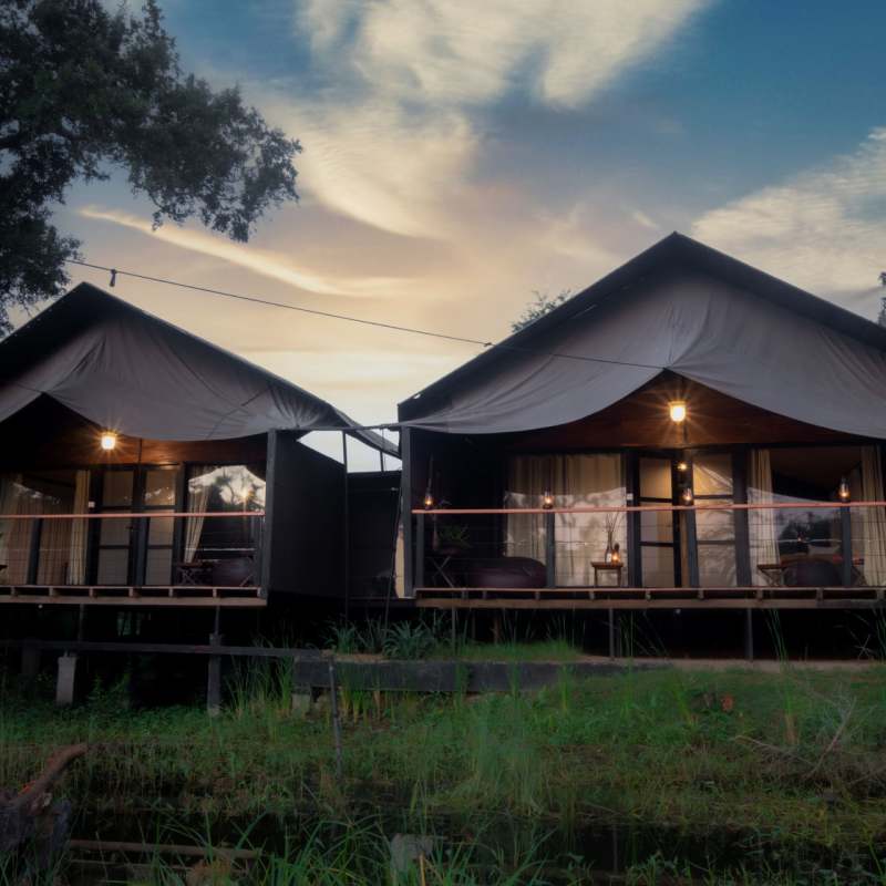 Tents - Leopard Trails Yala 