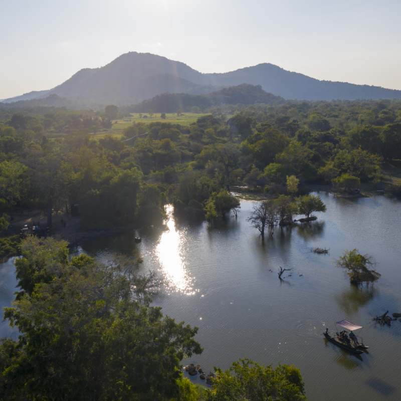 Boat - Leopard Trails Yala 