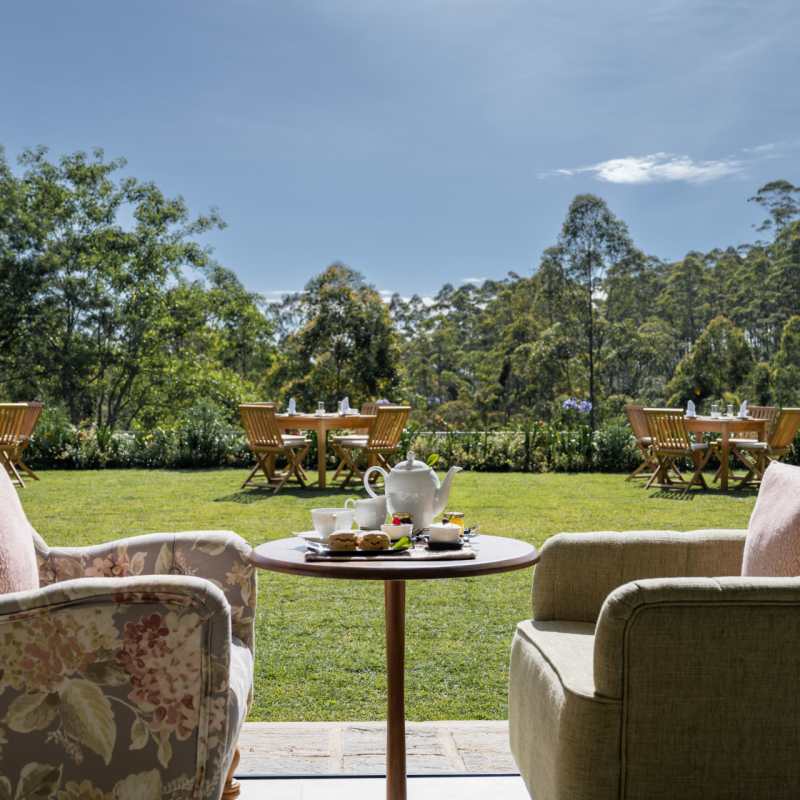 Afternoon Tea - Stafford Bungalow 